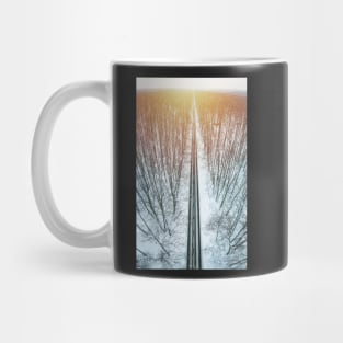 Road through winter forest Mug